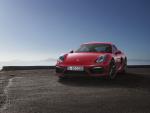 Porsche Cayman GTS 2014 года